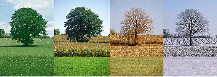 微软在土耳其和阿根廷再次大幅上调订阅服务价格