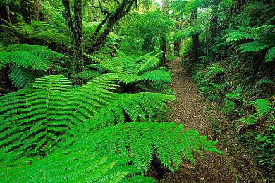 《地堡建造模拟器》上架Steam 建造避难所赚钱